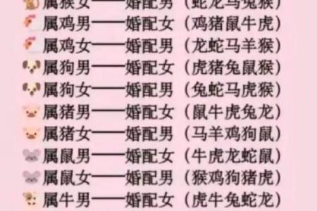 2013年运势最好的属相(2013年运势最好的属相女)