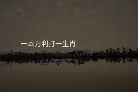 二话没说打一生肖