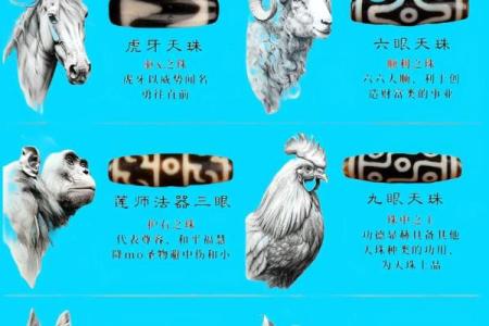 天珠与生肖的对应关系 天珠与生肖的配对
