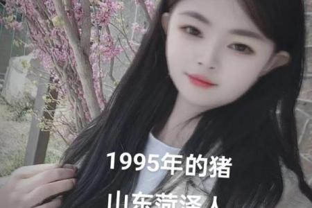 1995年的猪女什么时候动婚(1995年属猪女什么时候结婚)