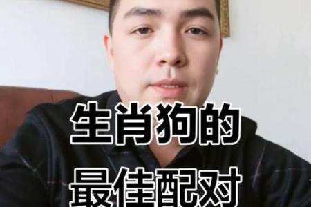 2006属狗的最佳婚配属相是什么 2006年属狗最佳婚姻