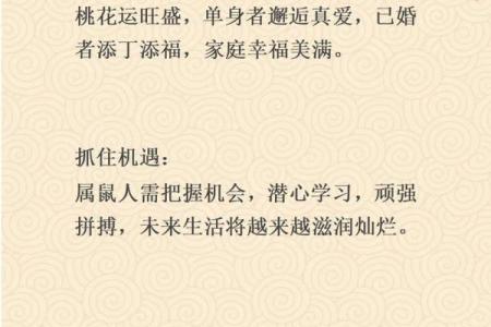 72年出生属鼠者2024年每月运程如何？需要注意哪些重要事项？