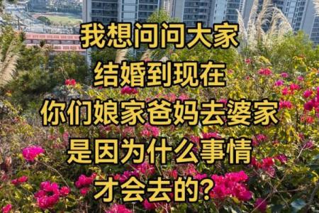 老公出国回娘家和父亲 老公出国回娘家和父亲怎么说