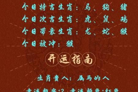 天罗地网煞最佳化解方法及生肖配对指南