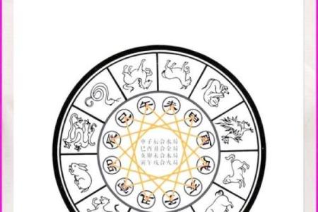 龙女与鼠男的生肖配对详解：性格互补还是冲突？