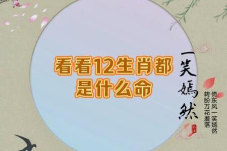 红颜薄命的生肖是什么生肖