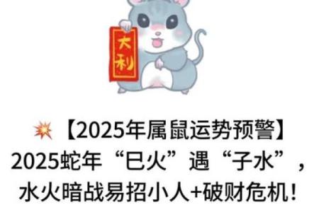 属鼠人今日财运如何，有没有好的投资机会？