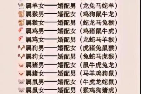 属鼠和属兔的合不合 属鼠和属兔的合不合做生意