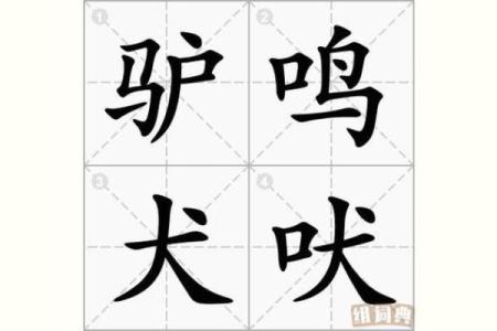 小菜一碟是什么生肖