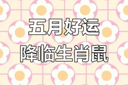 属鼠人2025年1月事业运势如何，会有升职加薪的机会吗？