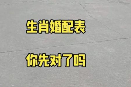 男马女鸡的属相合不合 男马女鸡属相合不合婚姻呢怎么看