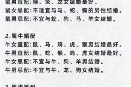 1982年最佳婚配属相 1982年婚姻配