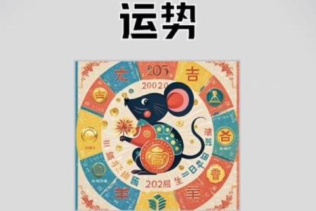 1996年丙子鼠2025年蛇年运势吉凶预测，需要注意哪些方面