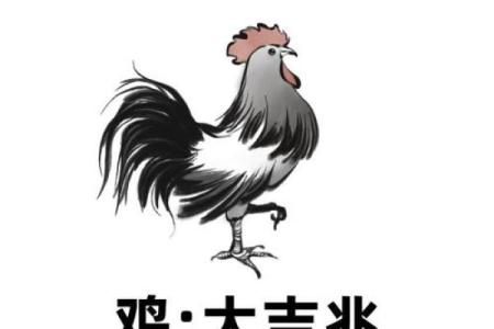 ‌随意一瞥是什么生肖：‌ 鸡