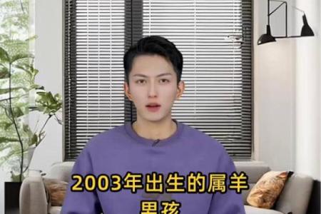 2003属羊男孩最佳配偶 2003属羊男孩最佳配偶是什么