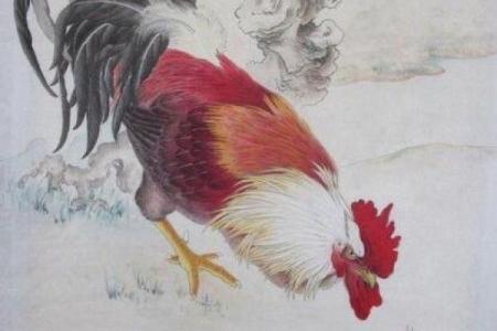 小菜一碟是什么生肖(小菜一碟是什么生肖精准)