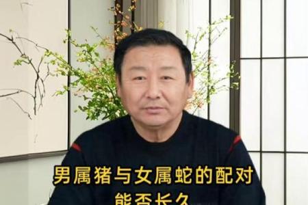 男猪女蛇属相合不合 男猪女蛇属相婚配好不好