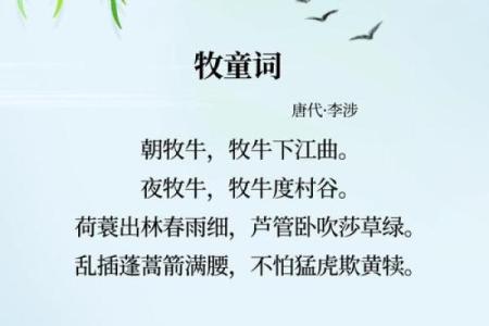 春雨沥沥是什么生肖(春雨淅淅沥沥怎么读)