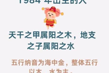 1984年出生的属鼠人在2025年适合投资什么项目能招财？