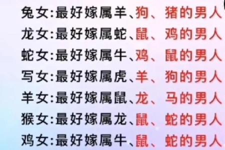 男属鼠女属龙婚姻配对是否吉利，需要注意哪些方面？