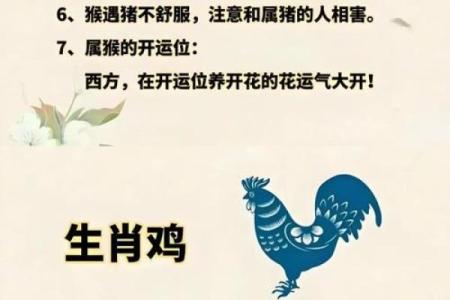 红杏出墙打一个正确生肖(红杏出墙指的什么生肖)