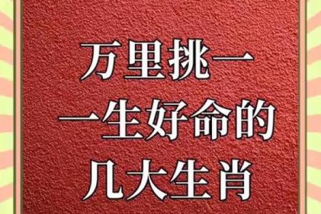 步履如飞打一准确生肖