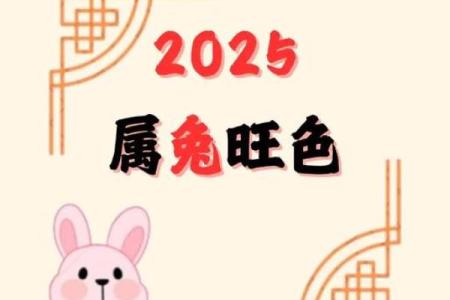 63年属兔的大忌颜色 63年兔吉祥颜色