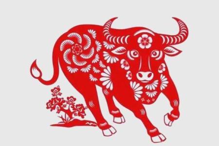 举足轻重打一个生肖 举足轻重是什么生肖动物