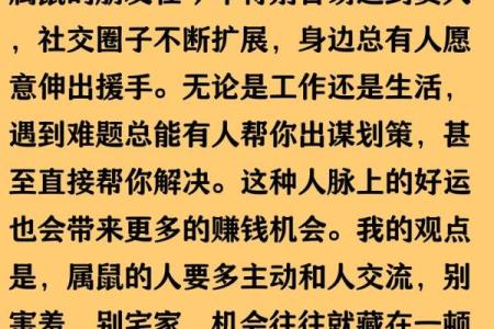 今日属鼠人的财运运势如何，有没有好的投资机会？
