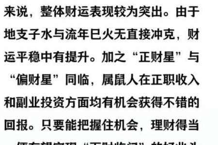 2025年属鼠的财运和事业运详解，有什么机遇和挑战？