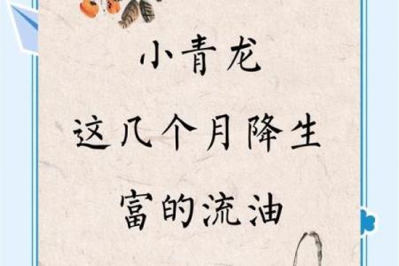 2024年属龙男孩几月出生好 2024年属龙几月份出生好