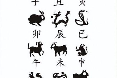 鸡犬相邻打一生肖