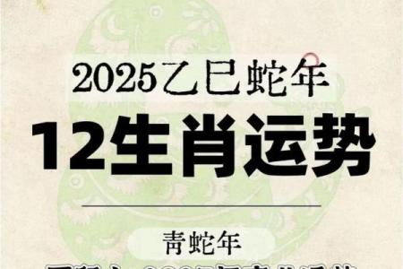 1996年属鼠女2025年运势详解，婚姻感情会有新进展吗