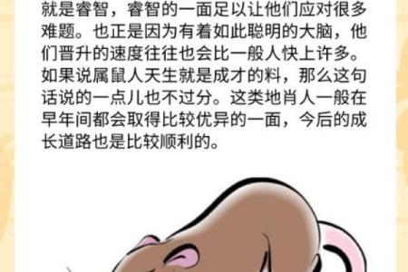 大是哪几个生肖 大生肖是哪几肖