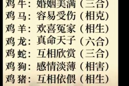 女鸡男鼠属相合不合 女鸡男鼠属相合不合婚