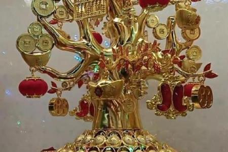 摇钱树挂在家中什么位置最旺 摇钱树挂家里哪个位置