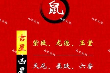 1972年属鼠人2025年全年运势详解，健康财运事业感情完整解析