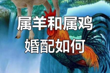 2003年女羊最佳婚配属相 属羊女人最佳丈夫