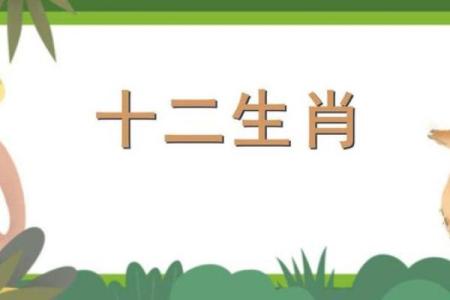 欲钱买东张西望的生肖