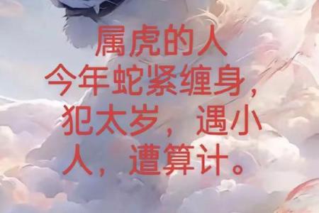 属虎和属蛇的做生意合财吗 属虎的和属蛇的合作生意好不好