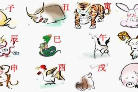 兴风作浪在十二生肖中具体指的是哪个动物？它的象征意义是什么？