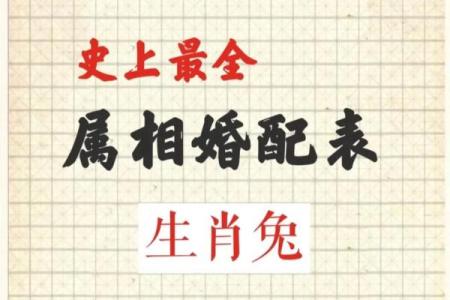 两个属兔的合不合 两个属兔的合不合婚姻