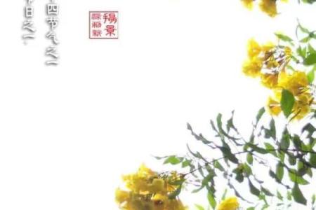 草木凋零是什么生肖(草木凋零啥意思)