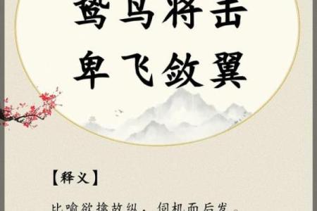 请问夯雀先飞”着个成语具体指的是哪一种鸟类动物呢？