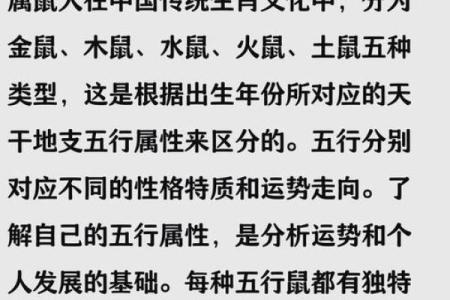 1996年属鼠人的五行属性是什么对运势有何影响