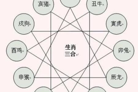 男蛇与女猪属相合不合 男蛇与女猪属相合不合财