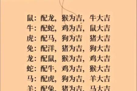 84鼠和88龙属相合不合 84鼠和88龙属相合不合财