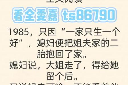 回娘家小说 回娘家小说全集
