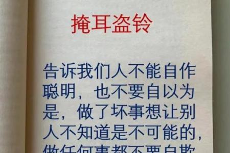 盗钟掩耳是什么生肖(盗铃掩耳打一肖)