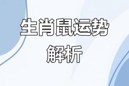 1972年属鼠人今日财运如何？适合投资或理财吗